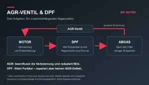 Vereinfachte technische Darstellung: AGR-Rückführung zum Motor und Partikelfilter im Abgasstrom